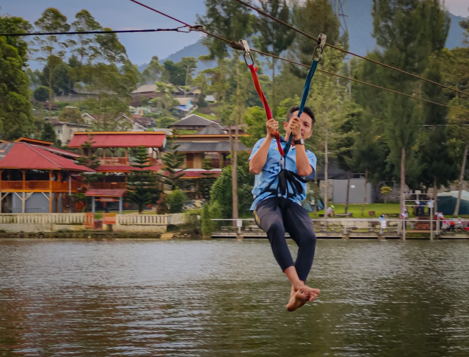Flying Fox